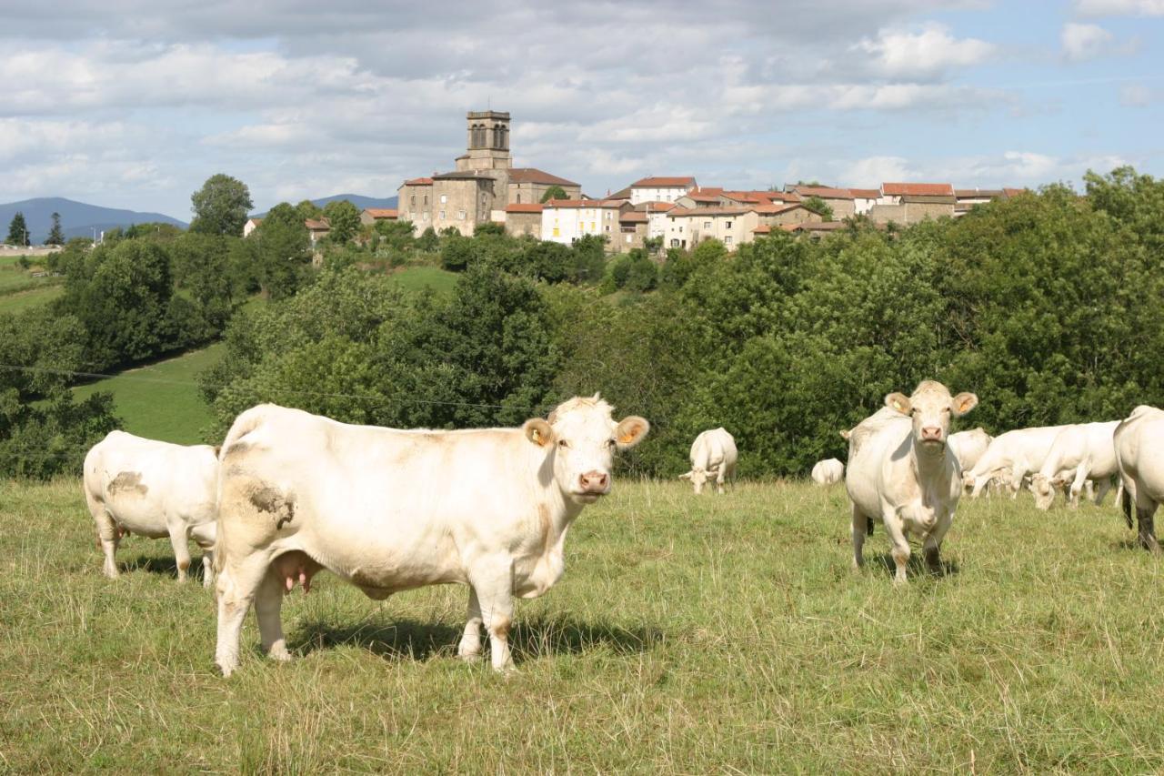 La Paresse En Douce Panzió Tours-Sur-Meymont Kültér fotó