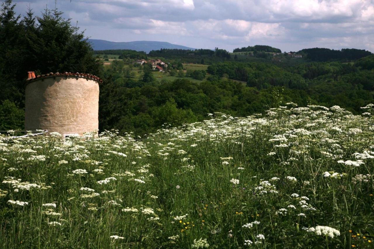 La Paresse En Douce Panzió Tours-Sur-Meymont Kültér fotó